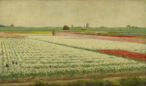 Tulipanmarker