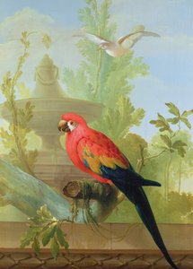 En ara og en due i en prydhave, 1772 af Gerrit van den Heuvel