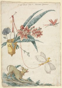 Blomsterdesign med hund og insekter