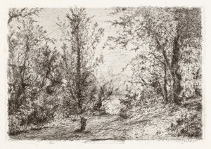 Skov ved Lago Maggiore [Skov ved Lago Maggiore] af Giberto Borromeo