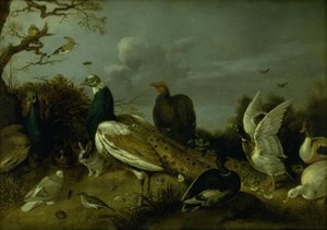 Påfugle, ænder og andre dyr af Gijsbert Gillisz. de Hondecoeter