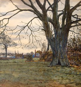 Det gamle træ af Gilbert Baird Fraser
