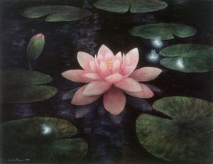 Lotus-sprites