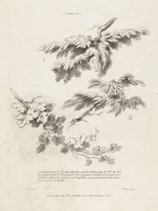 Undersøgelse af tre grene med blade 1er Cahier de paysage (serietitel) af Gilles Demarteau