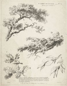 Undersøgelse af grene med blade 1er Cahier de paysage (serietitel) af Gilles Demarteau