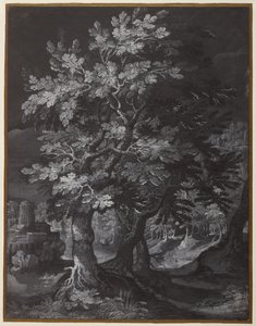 Skovscene af Gillis van Coninxloo