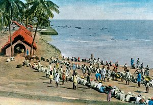 Fælles landsbymåltid, Andaman- og Nicobarøerne, Det Indiske Ocean, c1890