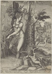 Venus og rosen af Giorgio Ghisi