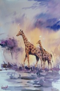 Afrikanske giraffer ved solnedgang af Giorgio Gosti