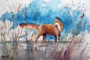 Alert Fox i Reeds af Giorgio Gosti