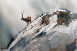 Elge i vinterbjergene af Giorgio Gosti
