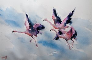 Lyserøde flamingoer i fuld fart
