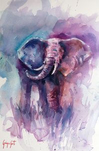 Den livlige elefants drøm af Giorgio Gosti