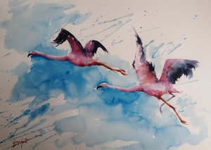 Livlig flamingoflyvning af Giorgio Gosti