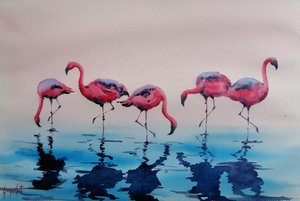 Vadefugle: Lyserøde flamingoer af Giorgio Gosti