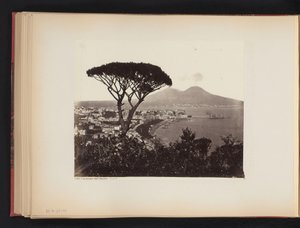 Udsigt over Napoli, Italien, med et fyrretræ i forgrunden Panorama-dalen Vomero Napoli (titel på objekt) af Giorgio Sommer