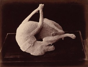 Afstøbning, Pompeji, ca. 1870 (foto) af Giorgio Sommer