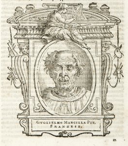 Milano, Biblioteca Braidense, Vite de piv excellent, Giorgio Vasari 1568, Guglielmo Marcilla af Giorgio Vasari