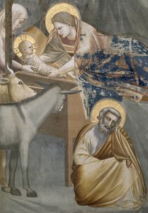 Fødselskirken, detalje af Jomfruen og barnet, æselet og Josef, 1303-05 (efter restaurering) af Giotto di Bondone