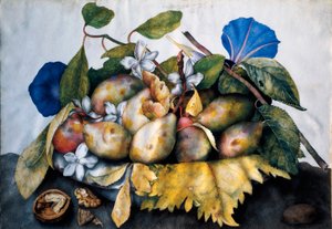 Tallerken med blommer, jasmin og nødder Maleri på pergament af Giovanna Garzoni (1600-1670) af Giovanna Garzoni