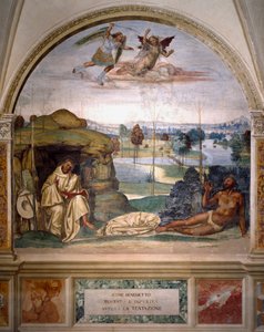 Sankt Benedikt sejrer over fristelsen ved at kaste sig nøgen ind i en tornbusk, mens en engel kæmper mod dæmonen Fresco fra munkenes refektorium lavet af Antonio Bazzi dit il Sodoma (1477 - 1549) og fortæller om Sankt Benediktins liv (48)