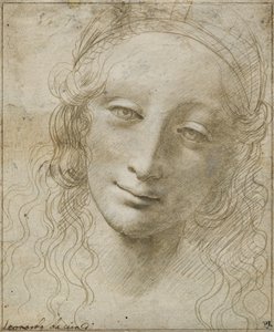 Hoved af en kvinde af Giovanni Antonio Boltraffio