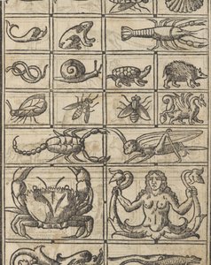 Eksempel på recammi, side 11 recto, 1530. af Giovanni Antonio Tagliente