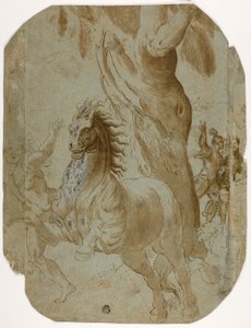 Omvendelse af St. Paul (recto); Mand set bagfra (verso) af Giovanni Antonio da Pordenone