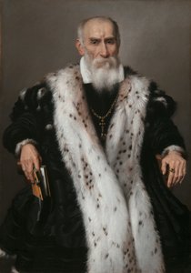 Portræt af Gian Girolamo Albani 1504-1591, 1573. af Giovanni Battista Moroni