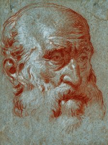 Leder af en venetiansk patricier, trekvart ansigt, af Giovanni Battista Tiepolo