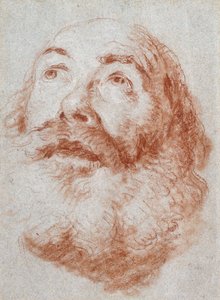 Hovedet af en gammel mand ser op, af Giovanni Battista Tiepolo