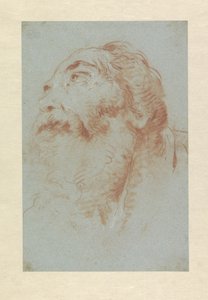 Hovedet af en gammel mand af Giovanni-Battista Tiepolo