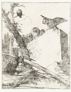 Titeltryk til Scherzi di fantasia med ugler nær en sten Scherzi di fantasia (serietitel) af Giovanni Battista Tiepolo