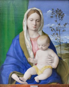 Madonna og barn, ca. 1500 (olie på panel) af Giovanni Bellini