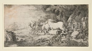 Dyr, der kommer ind i Noah af Giovanni Benedetto Castiglione