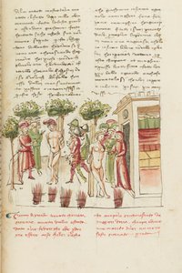 Dekameron, Den unge fange - Restituta Bolgaro og Giari di Procida i gabestokken , Femte dag, novelle 6. af Giovanni Boccaccio