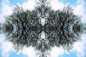 Unaturlig 100 (digitalt manipuleret foto)