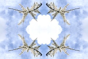Unaturlig 115 (digitalt manipuleret foto) af Giovanni Cafagna