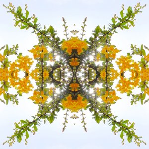 Unaturlig 175 (digitalt manipuleret foto) af Giovanni Cafagna