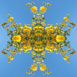 Unaturlig 193 (digitalt manipuleret foto) af Giovanni Cafagna