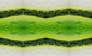 Unaturlig 2.1 (digitalt manipuleret foto)