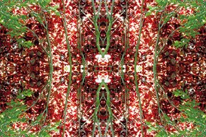 Unaturlig 23 (digitalt manipuleret foto) af Giovanni Cafagna