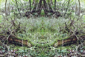 Unaturlig 33 (digitalt manipuleret foto) af Giovanni Cafagna