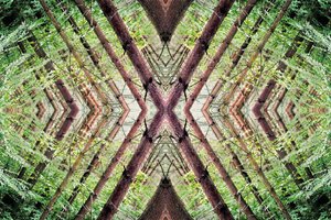 Unaturlig 37 (digitalt manipuleret foto)
