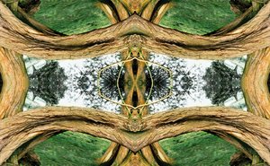 Unaturlig 37 (digitalt manipuleret foto) af Giovanni Cafagna
