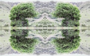 Unaturlig 40 (digitalt manipuleret foto)