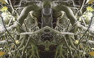Unaturlig 41 (digitalt manipuleret foto) af Giovanni Cafagna