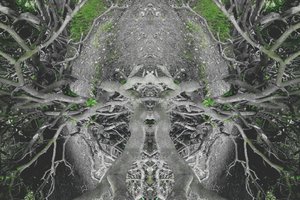Unaturlig 42 (digitalt manipuleret foto)