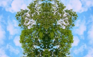 Unaturlig 46 (digitalt manipuleret foto) af Giovanni Cafagna
