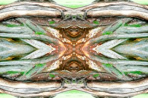 Unaturlig 64 (digitalt manipuleret foto)